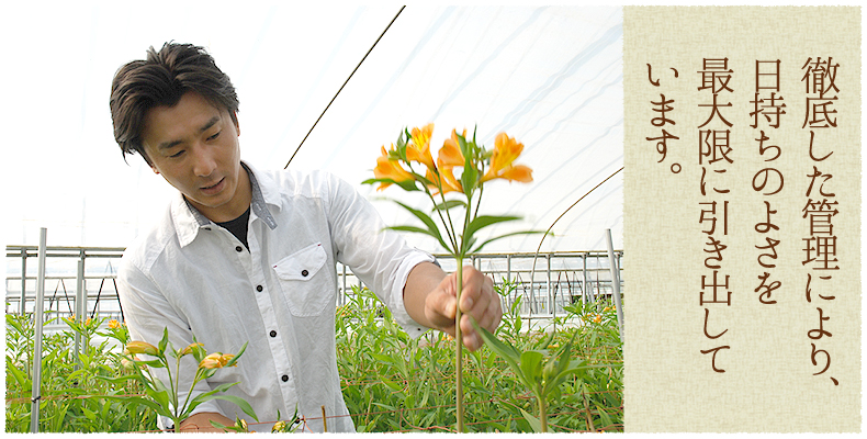 徹底した管理により、日持ちのよさを最大限に引き出しています