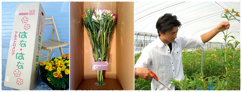 丁寧な収穫と選別、水揚げ、そして梱包