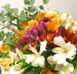 アルストロメリアアレンジ⑥