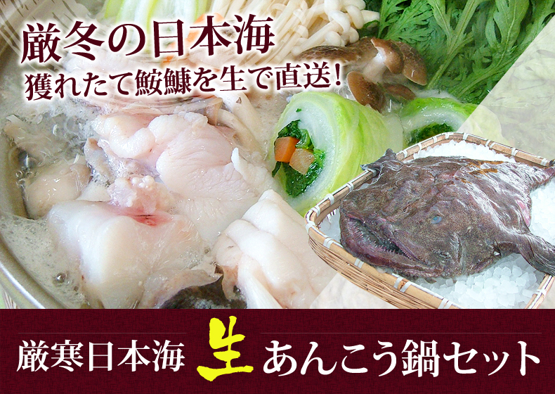 あんこう鍋セット 厳寒の日本海 取れたて鮟鱇を生で直送