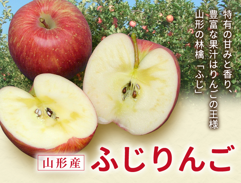 ふじりんご ふじりんご 特有の甘みと香り、豊富な果汁はりんごの王様 山形の林檎「ふじ」