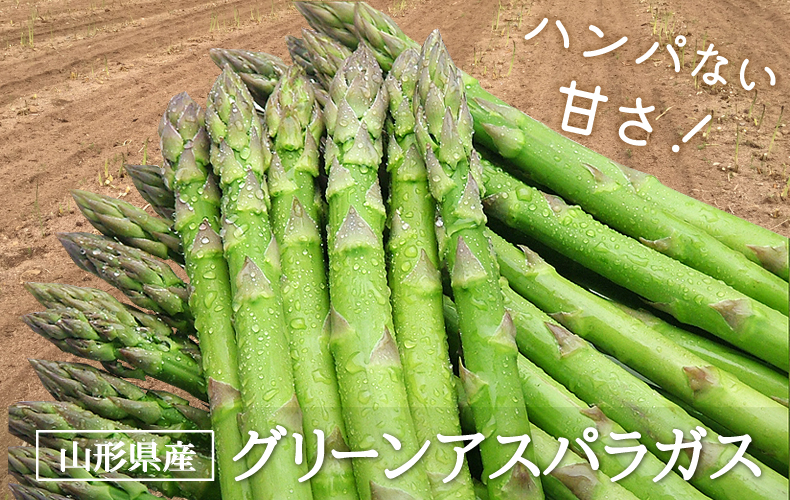 山形県庄内産グリーンアスパラガス 山形県庄内産グリーンアスパラガス