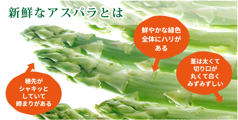 新鮮なアスパラは・・・