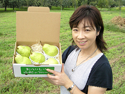 バートレットの箱全体はこのくらいの大きさです。