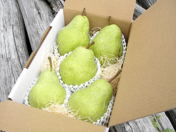 バートレットの発送時はこんな緑色をしています。
