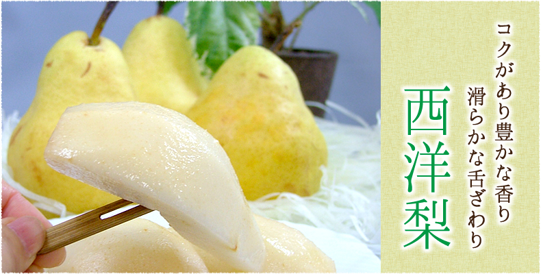 もちもちふっくら美味しさがギューッと詰まっています