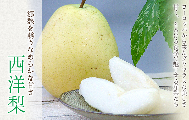 西洋梨 郷愁を誘うなめらかな甘さ 西洋梨 ヨーロッパから来たグラマラスな美しさ甘く、とろける食感で魅了する洋梨たち