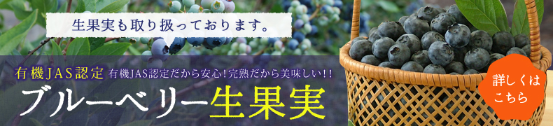 ブルーベリー生果実はこちらから