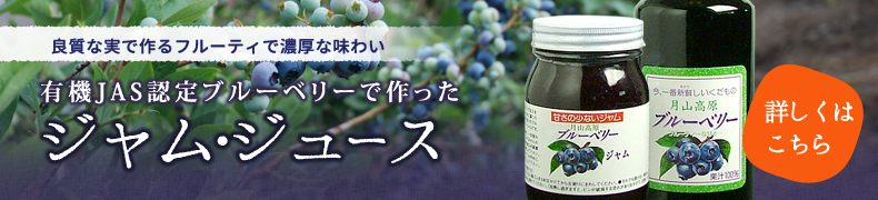 ブルーベリージャム・ジュースはこちらから