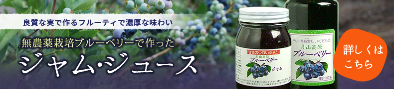 ブルーベリージャム・ジュースはこちらから