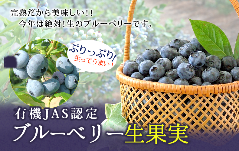 有機JAS認定だから安心!完熟だから美味しい!!今年は絶対!生のブルーベリーです。 有機JAS認定ブルーベリー生果実
