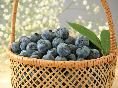 ブルーベリー生果実イメージ