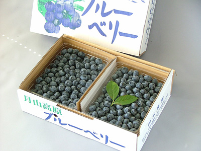 ブルーベリー生果実箱詰め