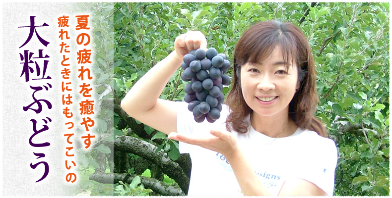 夏の疲れを癒やすように実る大粒のぶどうは、疲れたときにはもってこいのフルーツ