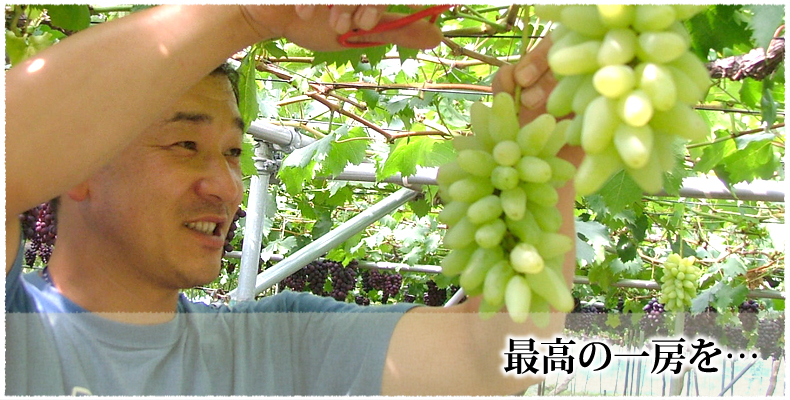 最高の一房を…