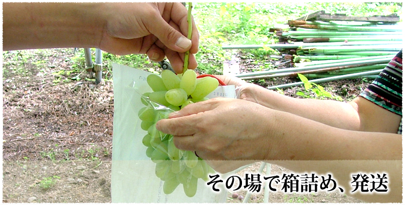 その場で箱詰め、発送