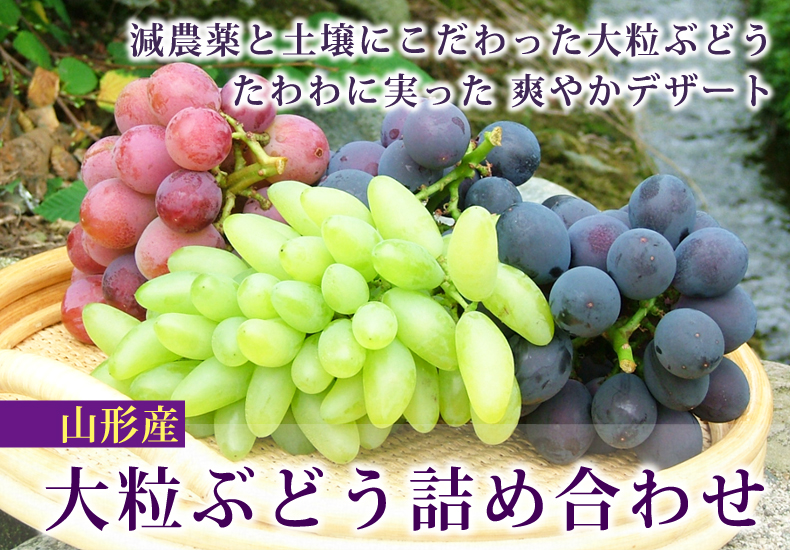 大粒ぶどう-減農薬と土壌にこだわった大粒ぶどうたわわに実った爽やかデザート 大粒ぶどう-減農薬と土壌にこだわった大粒ぶどうたわわに実った爽やかデザート