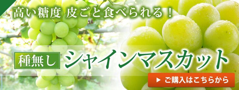 シャインマスカットご購入はこちら
