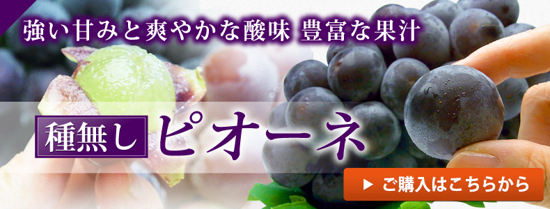 ピオーネご購入はこちら