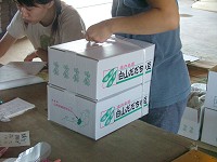 出荷されるだだちゃ豆