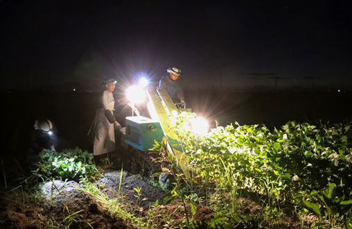 冨樫藤左ヱ門イメージ②