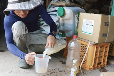 無農薬無化学肥料栽培②