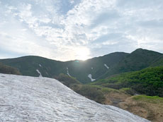 月山筍現場イメージ1