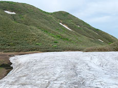 月山筍現場イメージ2