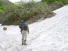 月山筍現場イメージ3