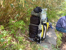 月山筍現場イメージ7