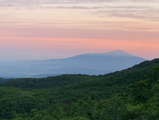 月山筍現場イメージ8