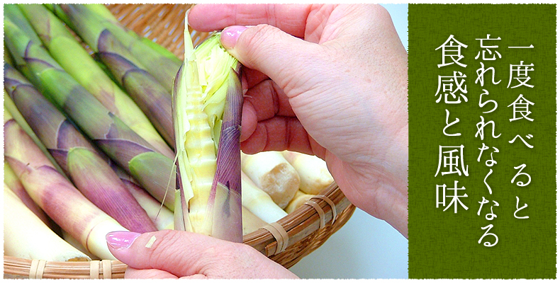 一度食べると忘れられなくなる食感と風味