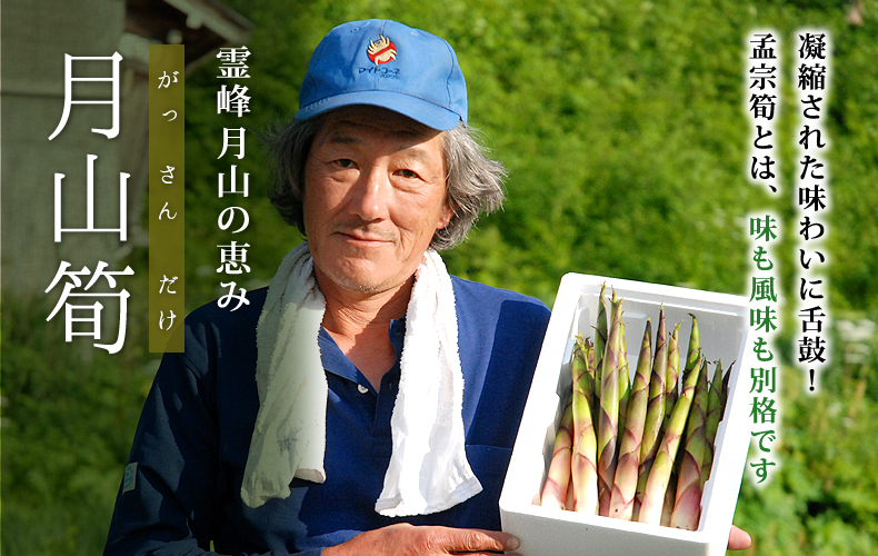 霊峰月山の恵み月山筍 霊峰月山の恵み月山筍