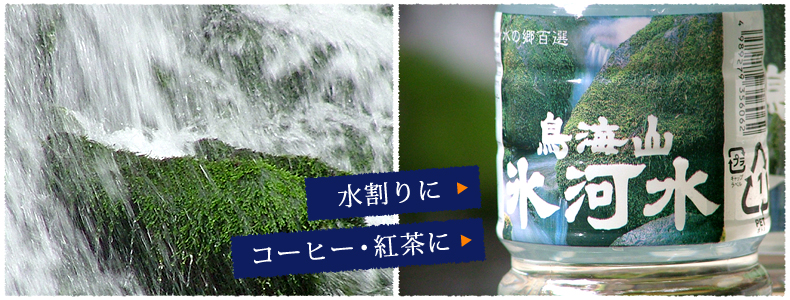 コーヒーや紅茶にもお使いください。