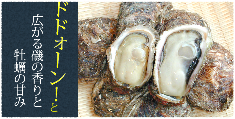 広がる磯の香りと牡蠣の甘み