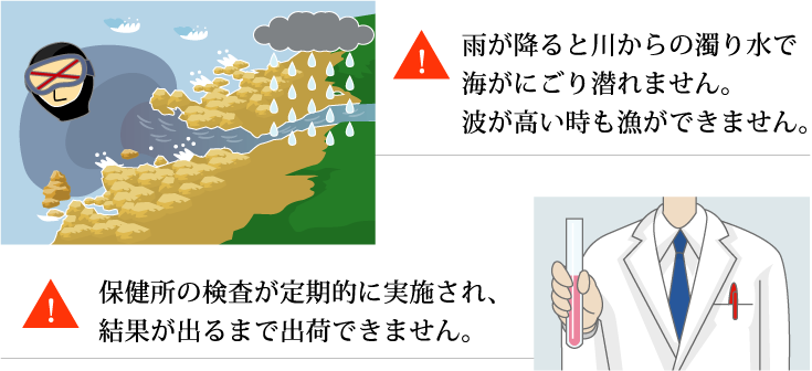 ただし…養殖ではありませんので、毎日必ず出荷できるとは限りません。