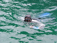 岩牡蠣漁もぐってあがってきたところ