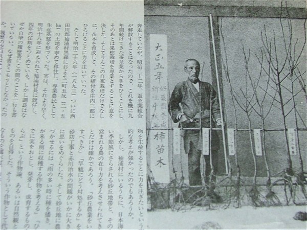 庄内柿の祖 酒井調良