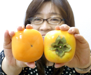 医者も青ざめる?柿って偉い!