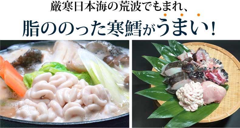 厳寒日本海の荒波でもまれ、脂ののった寒鱈で作る「どんがら汁」がうまい!