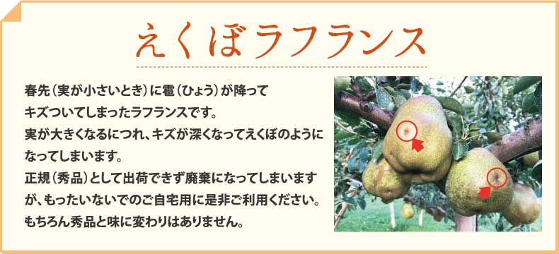 えくぼラフランスについて width=