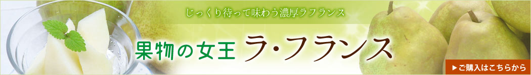 果物の女王ラフランス購入はこちらから