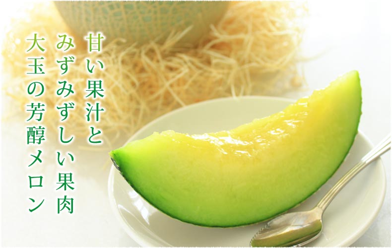 甘い果汁とみずみずしい果肉大玉の芳醇メロン