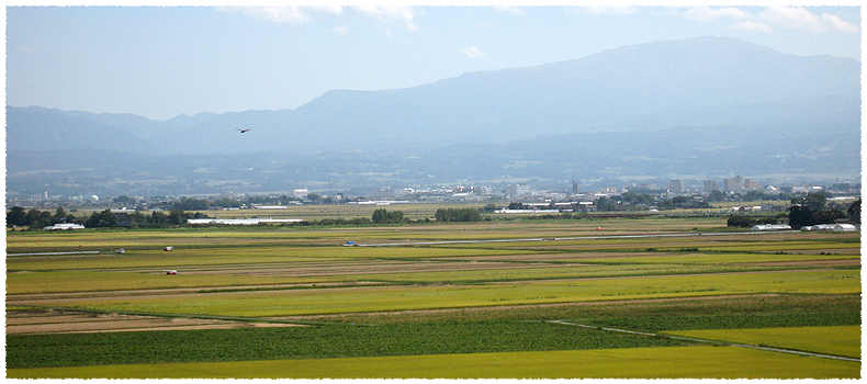 つやつやしていて柔らかく粘りが強くて冷めてもうまい米