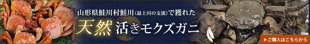 然活きモクズガニ