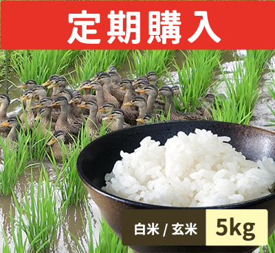 アイガモ農法米（つや姫）定期購入 5kg定期購入