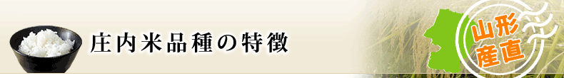 庄内米品種の特徴