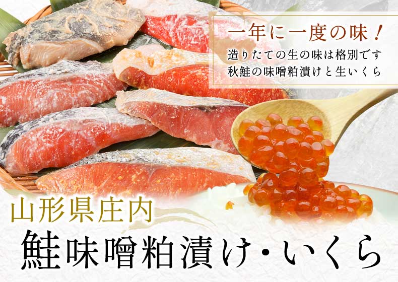 鮭味噌粕漬け・いくら 鮭味噌粕漬け・いくら一年に一度の味!造りたての生の味は格別です秋鮭の味噌粕漬けと生いくら