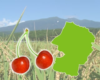 さくらんぼ王国山形県 さくらんぼ王国山形県