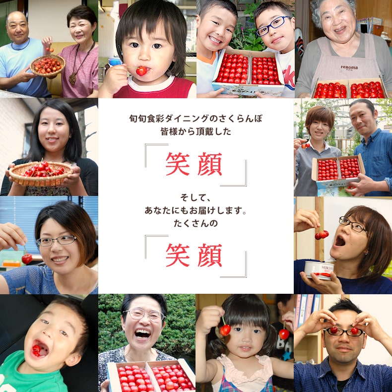 山形特産さくらんぼ 山形特産さくらんぼ